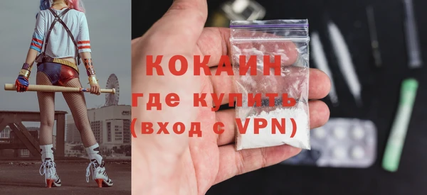 дурь Бородино