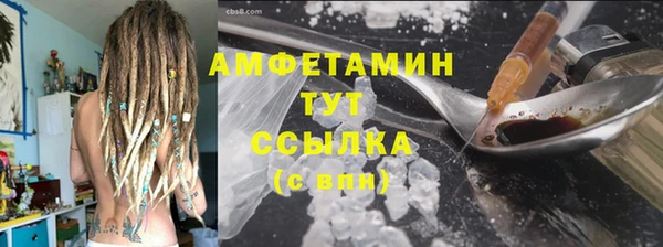 дурь Бородино