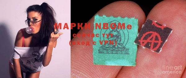 шишки Бронницы