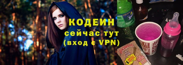 дурь Бородино