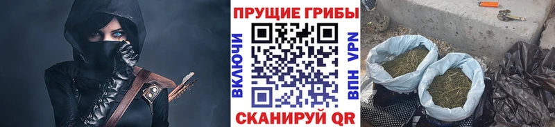 Галлюциногенные грибы Psilocybine cubensis  хочу   Семёнов 